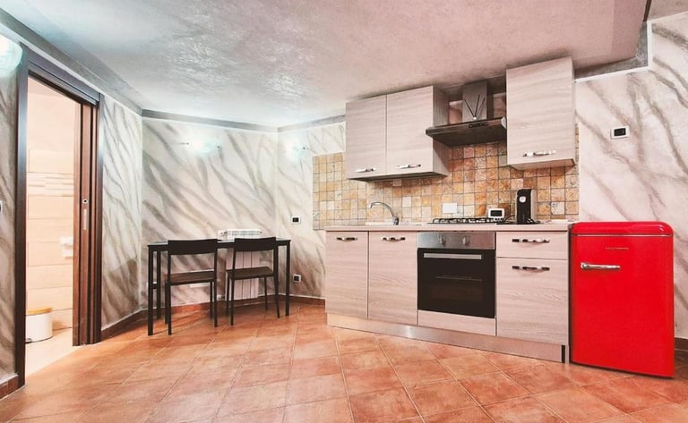 Cucina attrezzata del monolocale con piano cottura e frigorifero