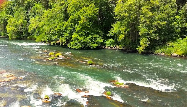 Eugene - Willamette River along Nature Loop Trail at Alton Baker Park 