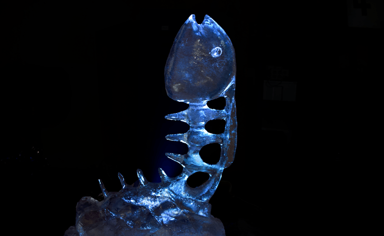 pez hecho en hielo 