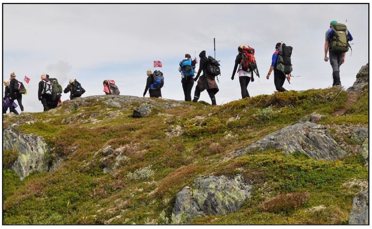 a line of hikers on mossy rock-Telelaget
