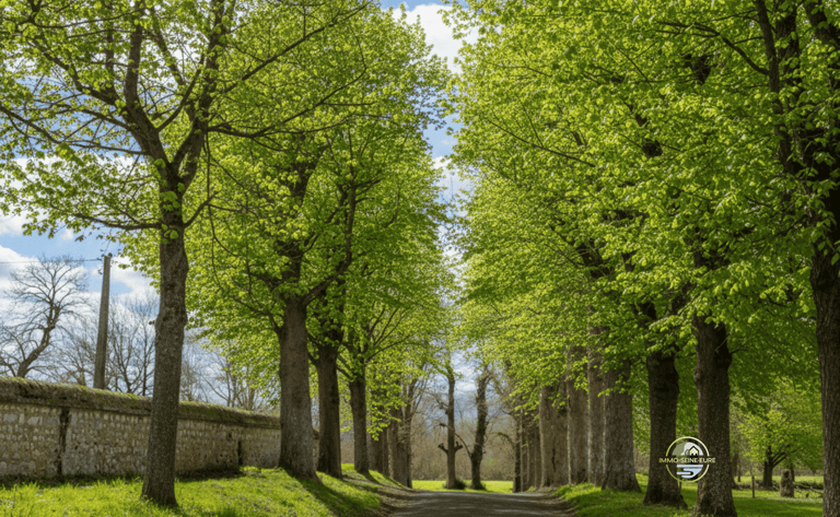 immo seine eure Andé