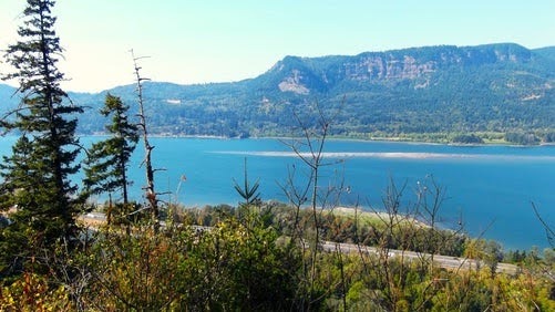 Columbia River Gorge, Oregon - the border between OR & WA, and the cliffs rise 4,000 ft.
