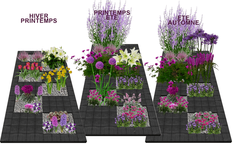 Tombes végétalisées