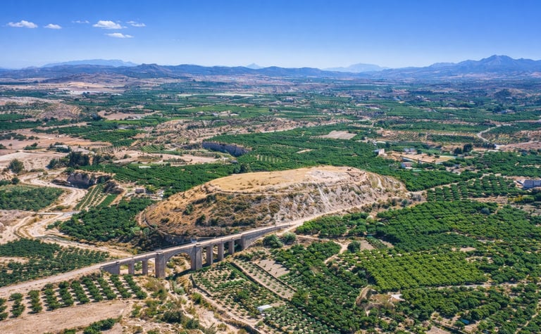 On the outskirts of present-day Cehegín is located "Cabezo de Roenas", a hill on which the Roman cit