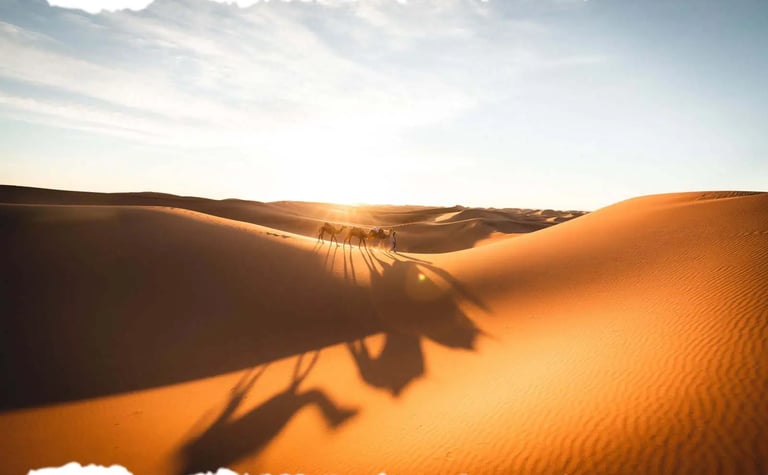 Home - Morocco Tours, Desert Trips & Eco Travel Experiences - dar toda zagora guest house