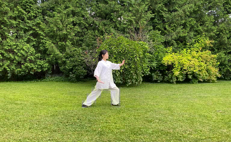 Tai Chi Introductory Class - Yang style 24 Forms