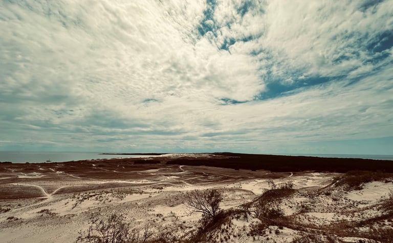 Asta Butkutė Jurevičienė