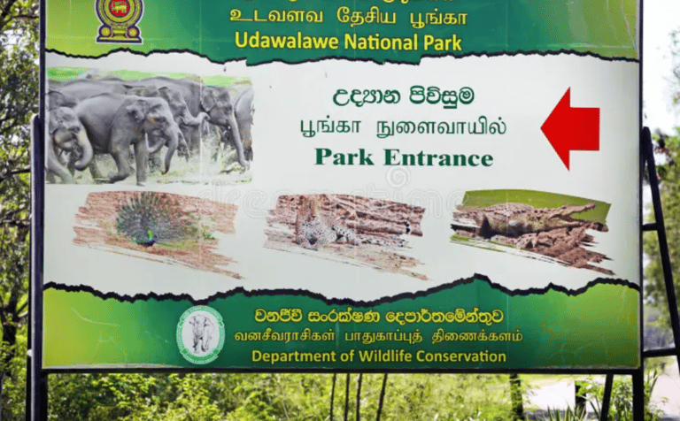 Udawalawe National Park