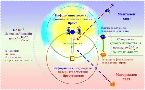 Айнщайн, Светлинен свят, зона на живота, информация с различна скорост, ментален и материален свят
