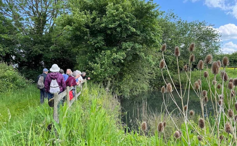 Field trip to Elm Farm, Burnett