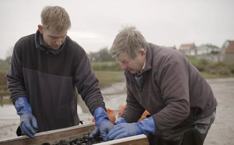 Brancaster oyster co, also producing Mussels