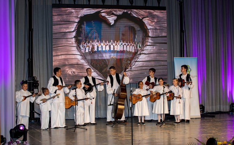 Sisak, Županijski pleter