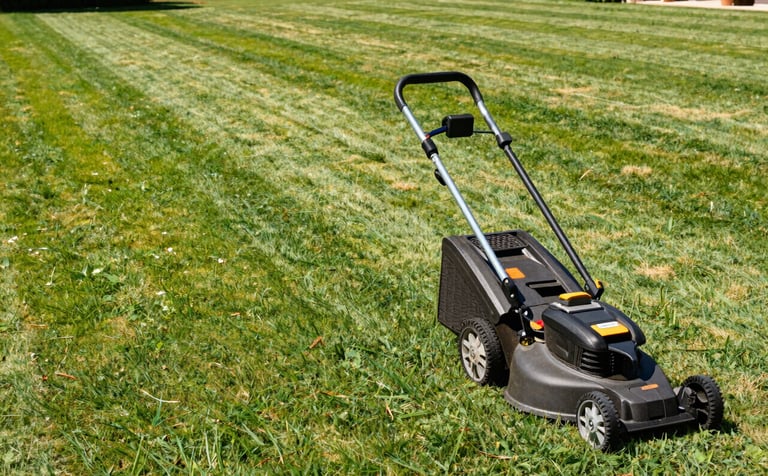 A wide-angle professional shot of a perfectly manicured lawn in the Var region, Southern France. Clean gardening tools like a mower and hedge trimmers are neatly placed in the foreground. Bright natural sunlight, professional and efficient atmosphere.