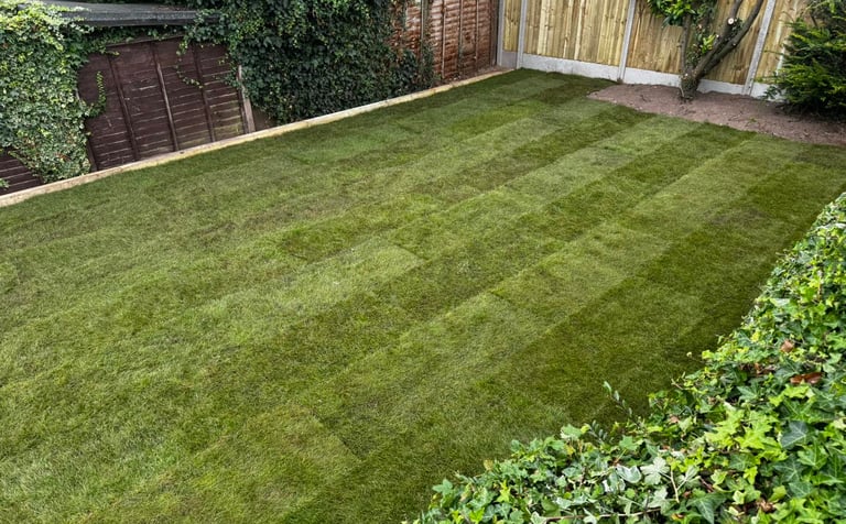 Lush green lawn laid in Worcester residential property