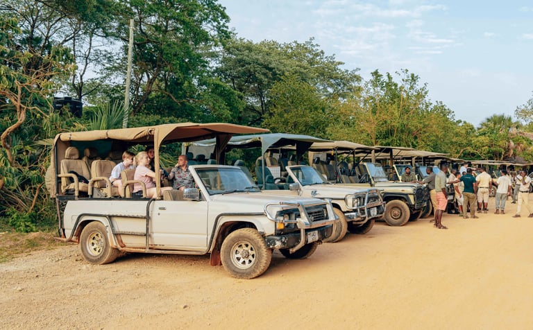 Image of safari trucks to denote tourism AI