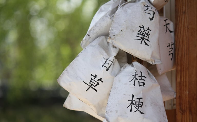 Japanese Acupuncture, Acupuntura Japonesa en Barcelona