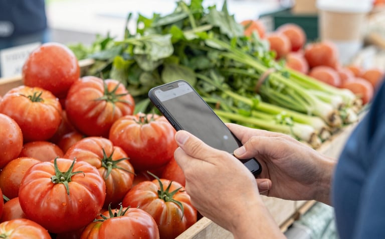 A vibrant North American outdoor farmer's market scene with crates of fresh heirloom tomatoes and greens. A marketing professional's hand is visible, holding a smartphone and composing a shot for social media. Bright, natural overcast lighting, artisanal feel.