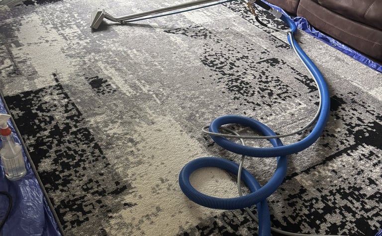 Area rug being deep cleaned with a professional steam extraction wand and hose in a living room setu