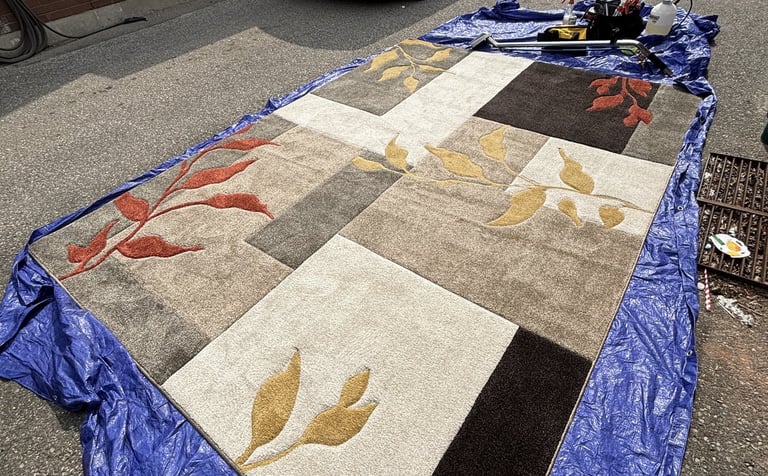 Coloured synthetic rug on tarp. Professional in-home cleaning keeps your floors safe.