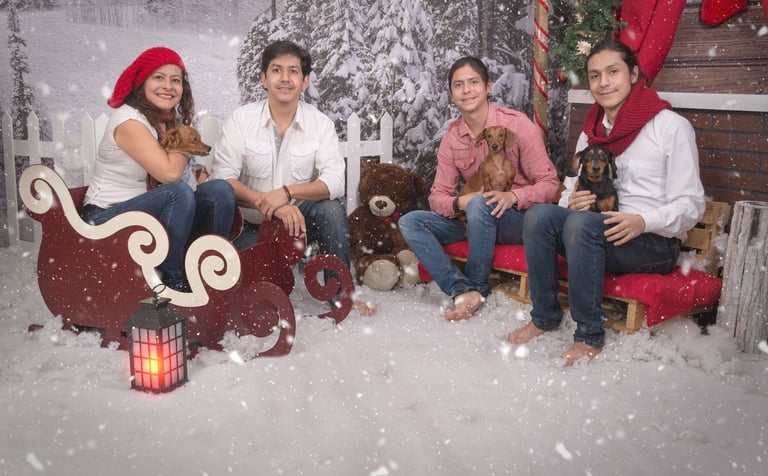 a family of four sitting on a sleigh