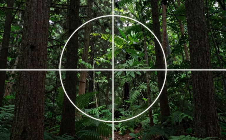 Close-up of a technician inspecting a hornet nest with advanced protective gear in a forest setting.