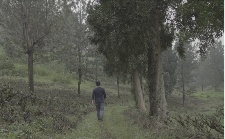 Green Hell is about Hazara migrants in limbo in Indonesia spent more than a decade to be resettled.