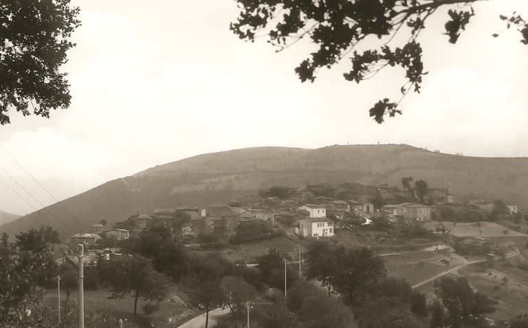 panorama storico crispiero marche italia