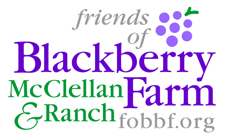 FOBBF Logo