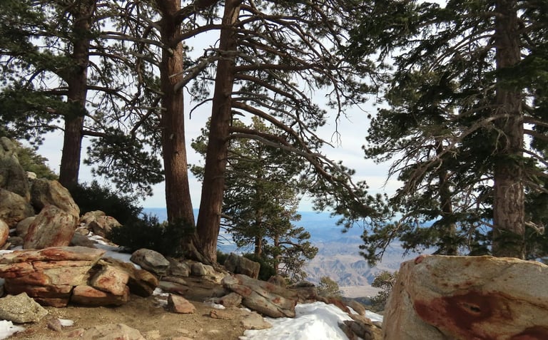 Palm Springs, CA - Up the Aerial Tram on top of San Jacinto mountain