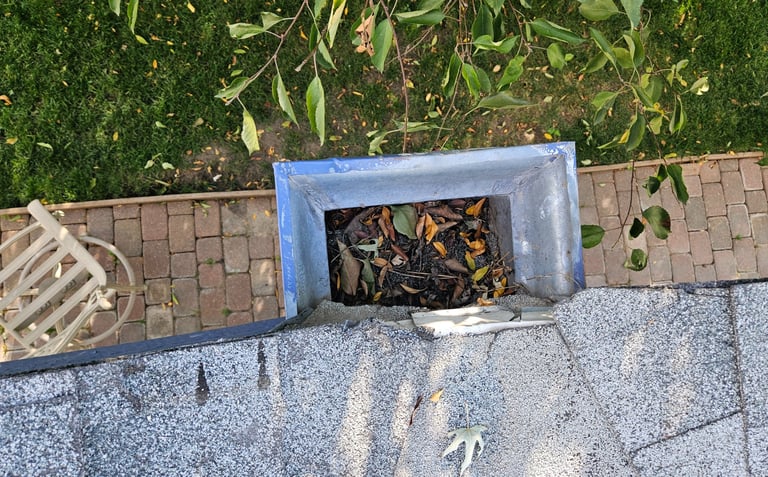 Debris in gutter systems is prone to catching embers!