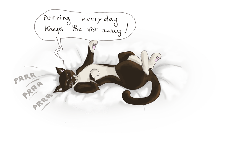 drawing of a cat laying on his back