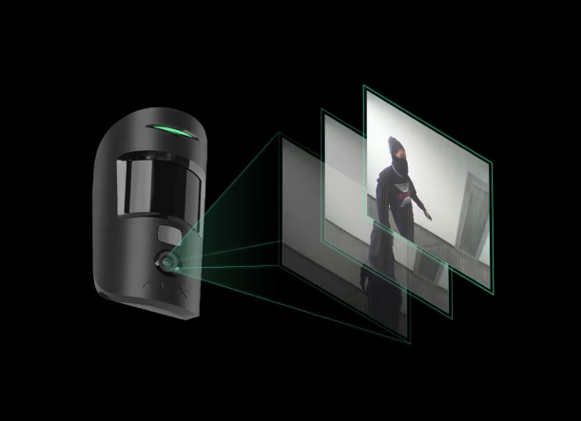 Detector PIRCAM inalámbrico: se encarga de la alarma de intrusión interior y exterior