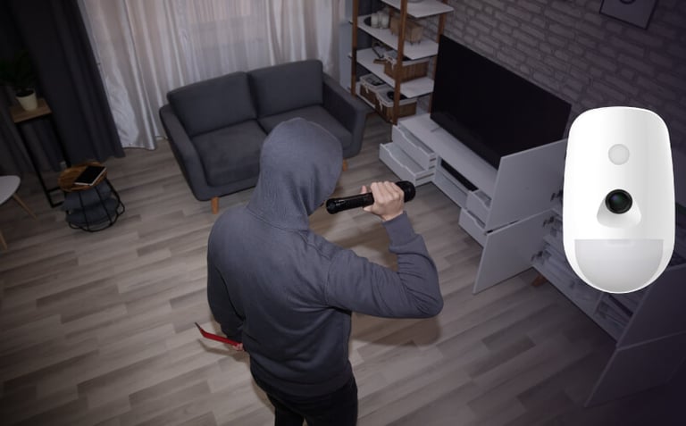 Detector PIRCAM inalámbrico: se encarga de la alarma de intrusión interior y exterior