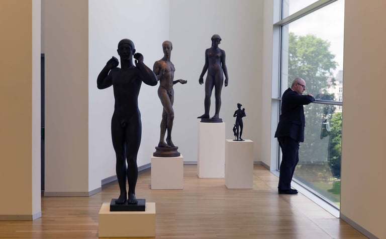 Pierre Thoretton, Sans titre (2012-2013)