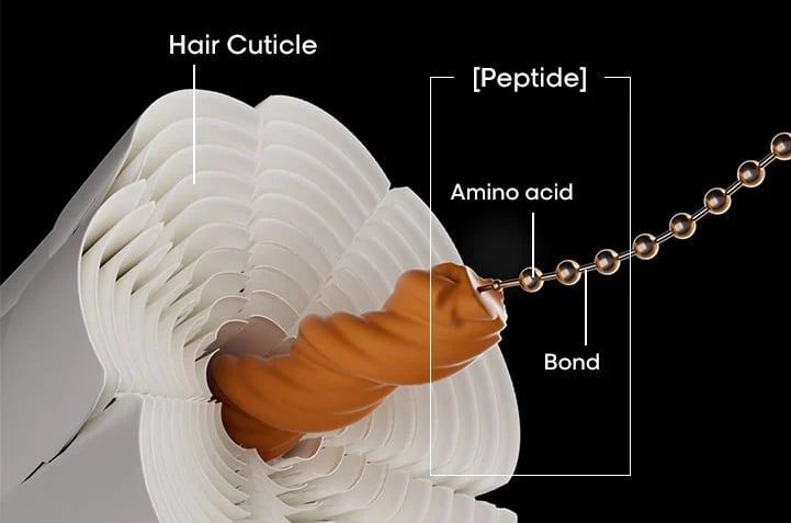 curaphy hair science