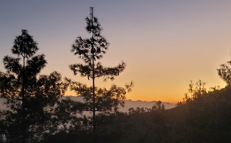 2 day hike, hiking, kathmandu, nepal, bethanchowk, himalayas, temple, hindu, narayanthan