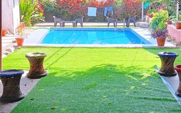 Swimming pool at Jungle Lore Resort with garden and relaxing seating area