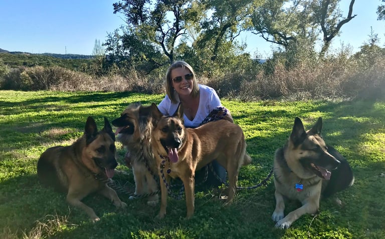 Kathy Jo Ventrano Dog Trainer and IAABC-Certified Dog Behavior Consultant