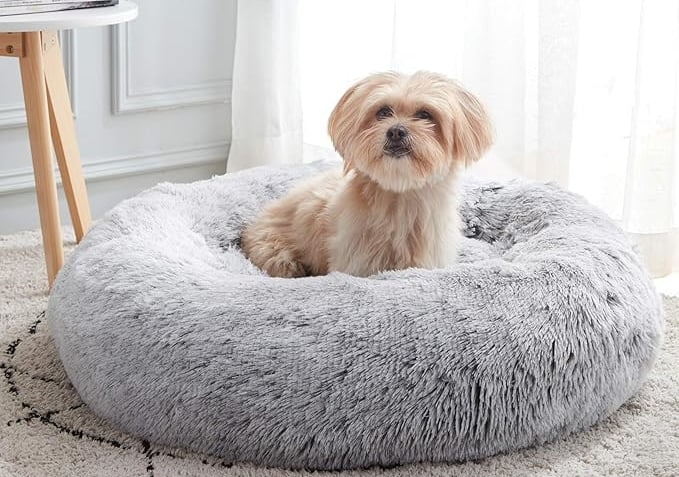 Calming Dog & Cat Bed