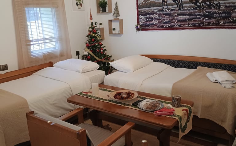 Nakou's House sofa extra bed 