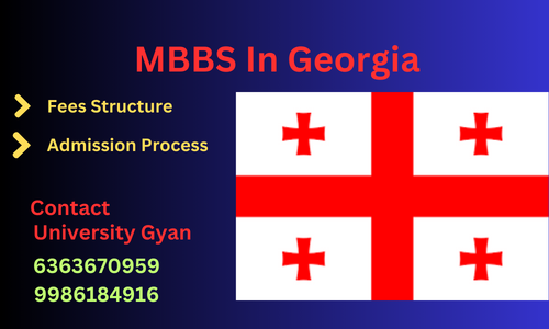 MBBS In Georgia