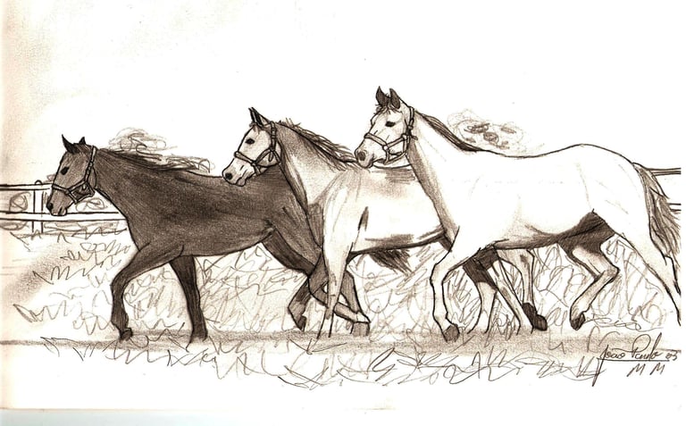 Rascunhos sobre cavalos de Jaum em 2003