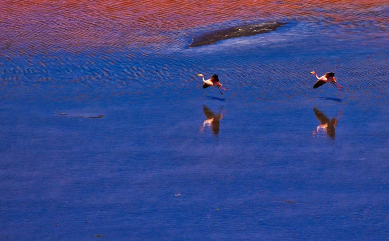 Uyuni Salt Flats Sajama Photo Tour