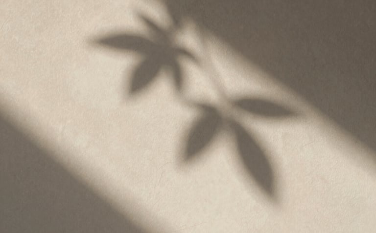 Extreme close-up of soft warm sunlight casting delicate leaf shadows on a neutral plaster wall, elegant and quiet