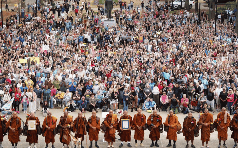 world-peace-walk-for-peace-monks-today-is-my-peaceful-day-2026