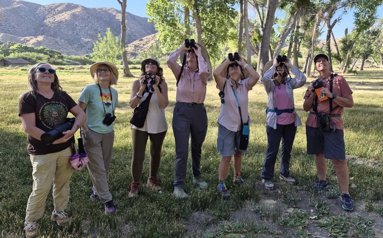 women birders with binoculars in big morongo canyon preserve near joshua tree