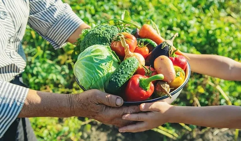 agnihotra agriculltura homa argentina