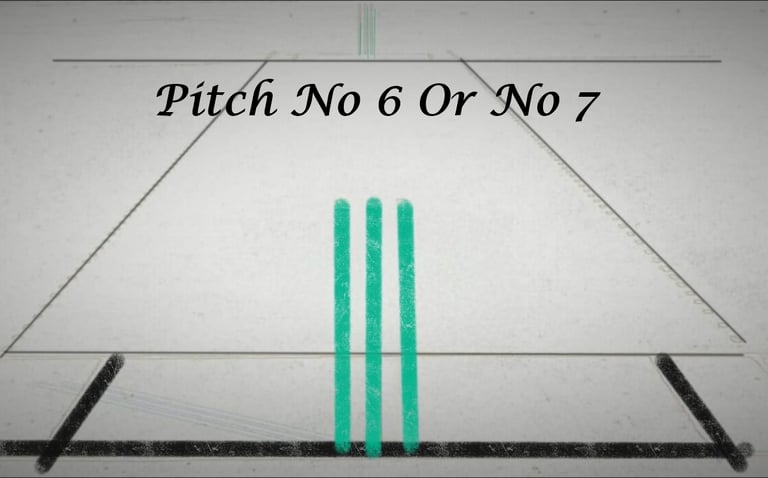 cricket-world-cup-pitch-issue
