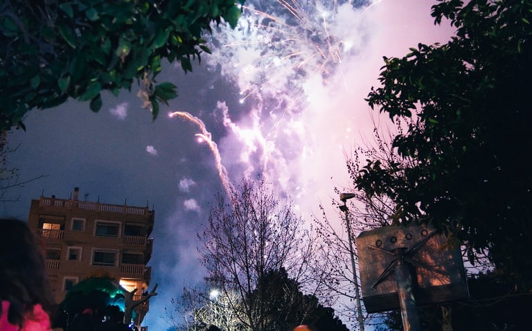 a group of people watching fireworks in the sky