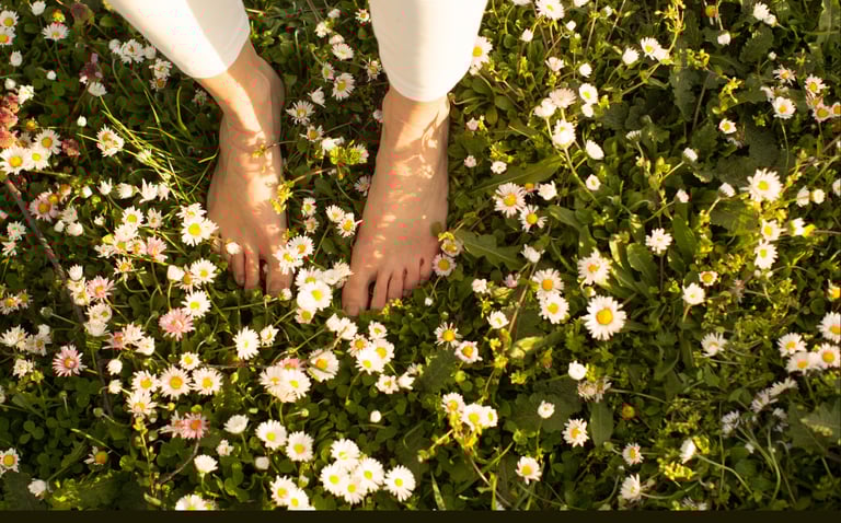 Véronique Payovitch approche narrative, estime de soi, paix avec son passé